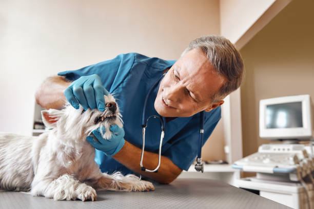 Best Emergency Root Canal Treatment in Grandview, OK